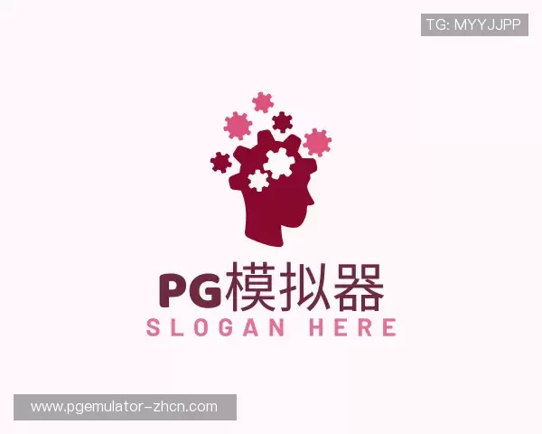 认识pg模拟器